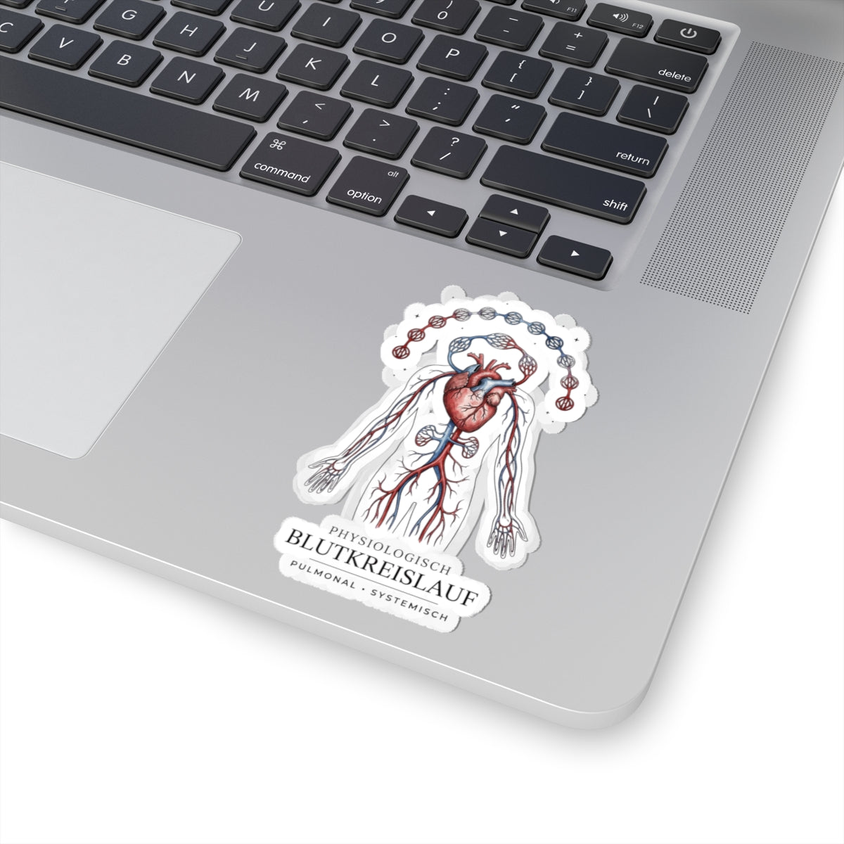 Anatomical Heart Sticker | Birth Flower Illustration, Botanical Anatomy