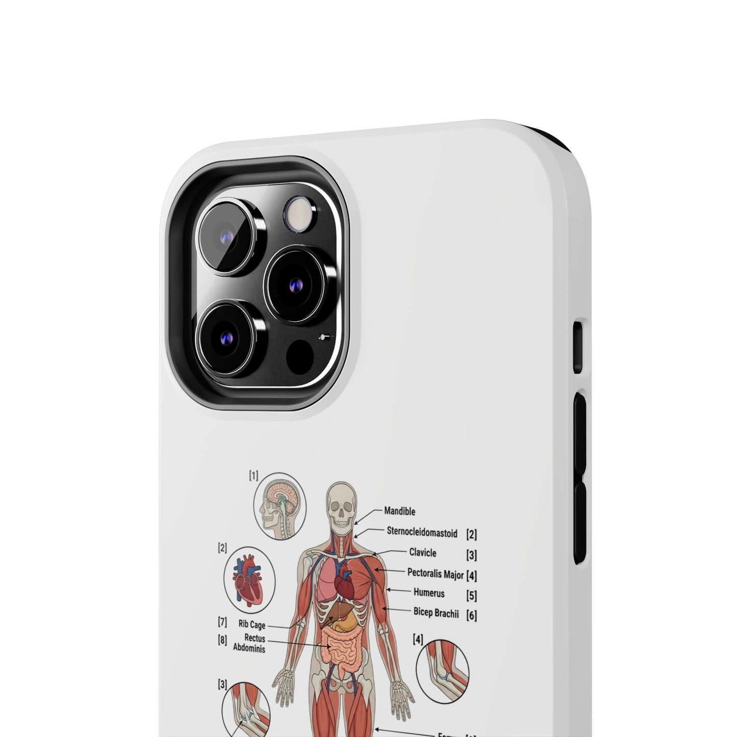 Anatomy Study Phone Case — Human Anatomy Diagram for Medical Students