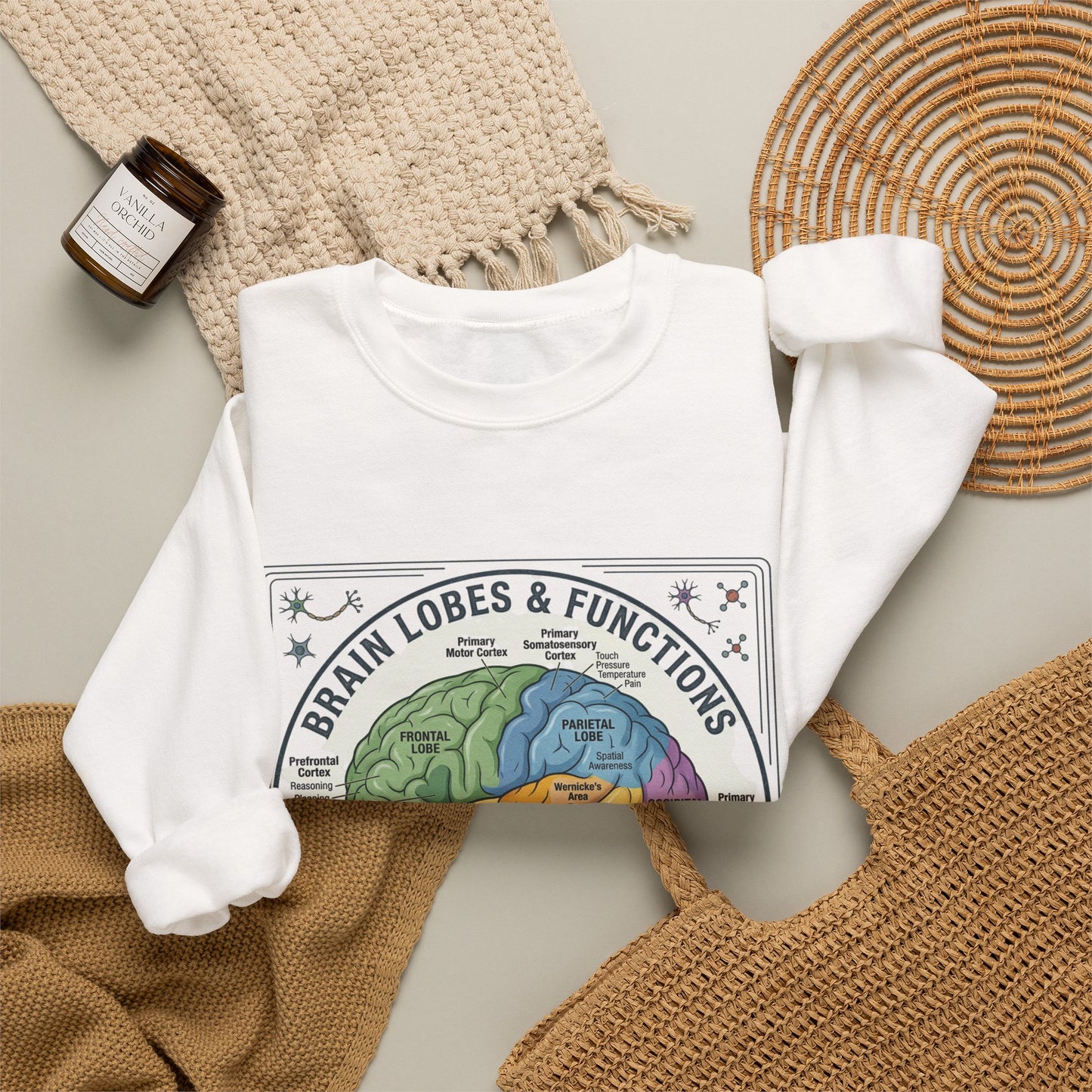 Brain Lobes Diagram Sweatshirt | 250th 4th of July Patriotic Milestone