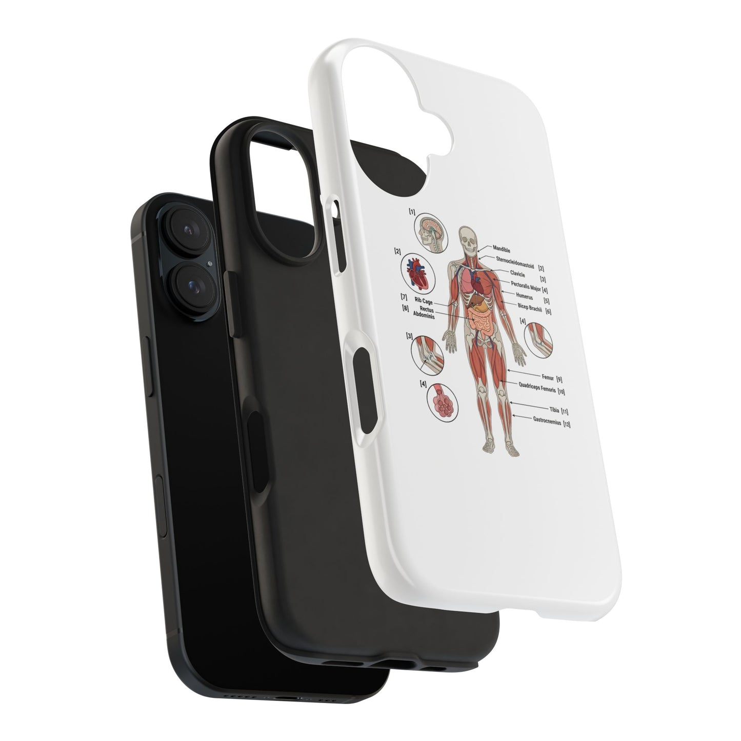 Anatomy Study Phone Case — Human Anatomy Diagram for Medical Students