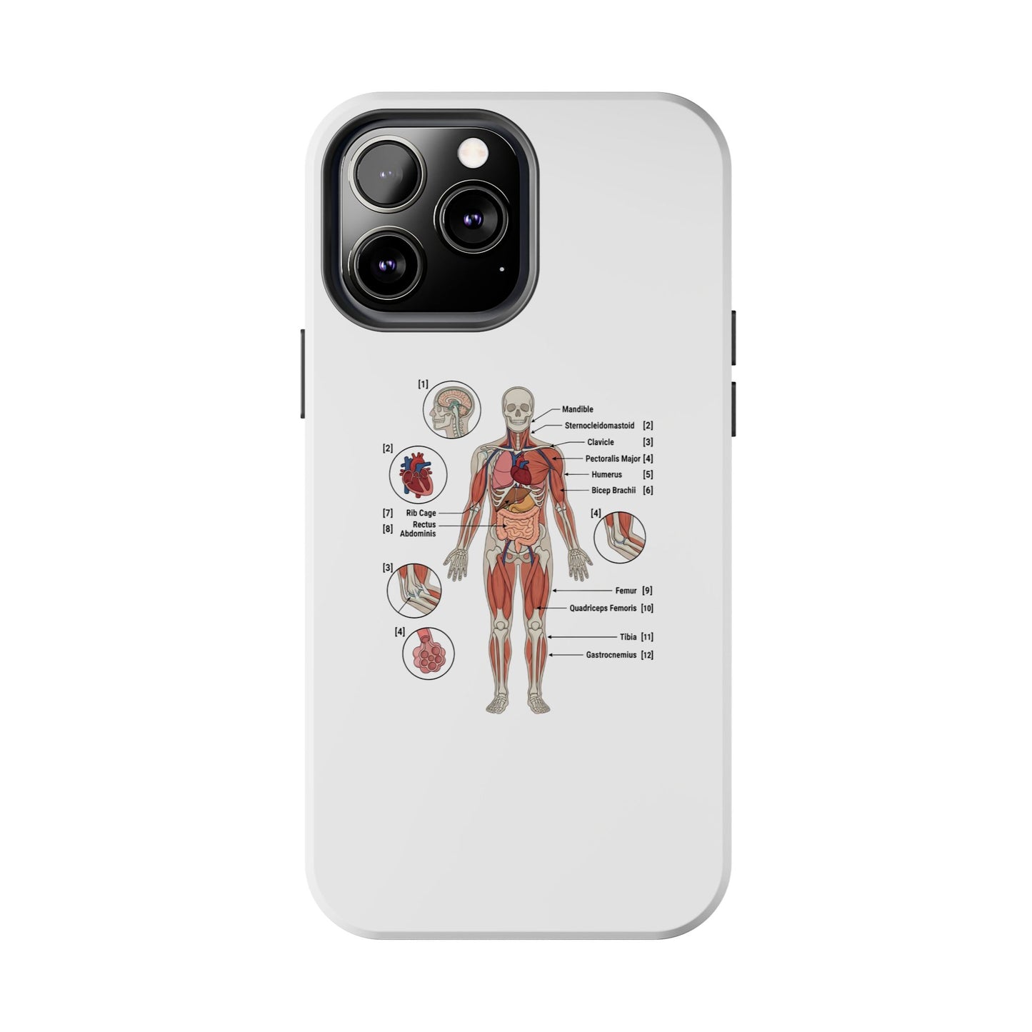 Anatomy Study Phone Case — Human Anatomy Diagram for Medical Students