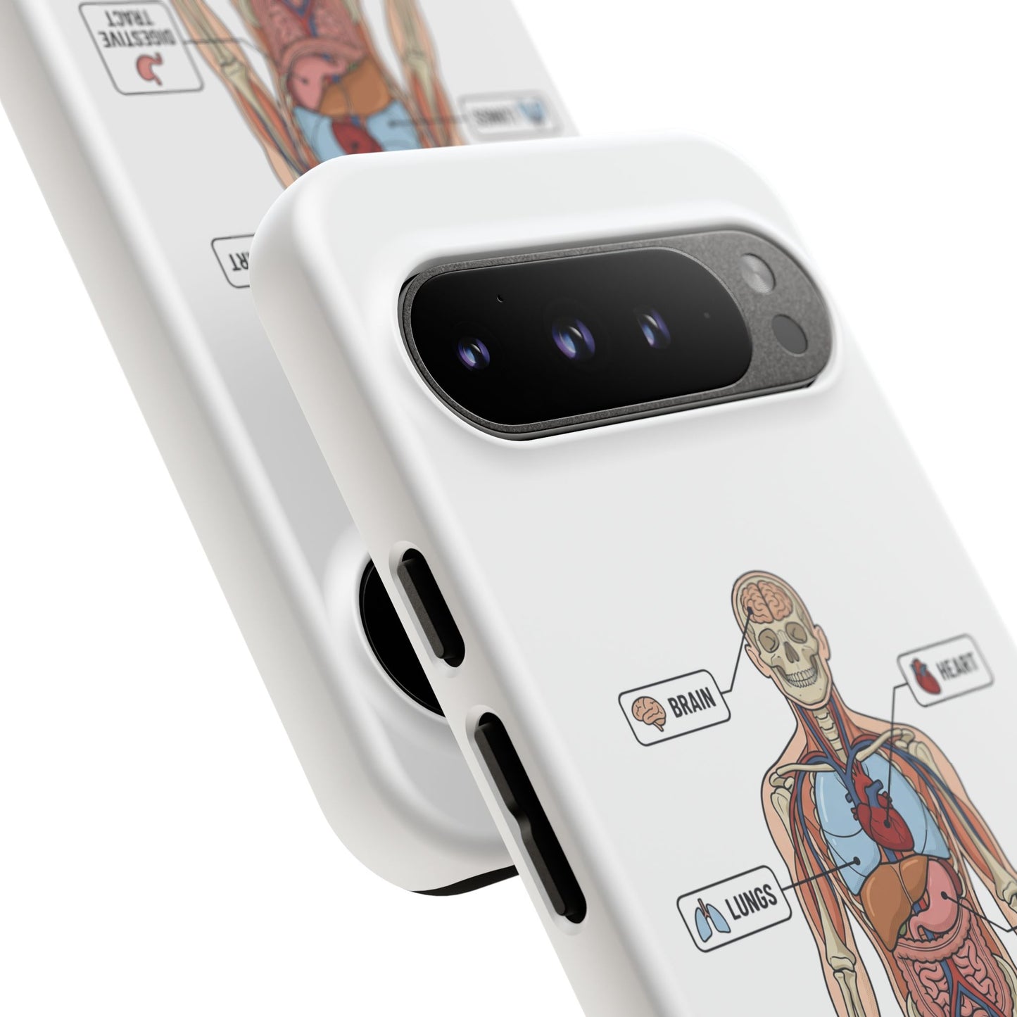 Anatomy Case — Medical Student Human Anatomy Study Aid