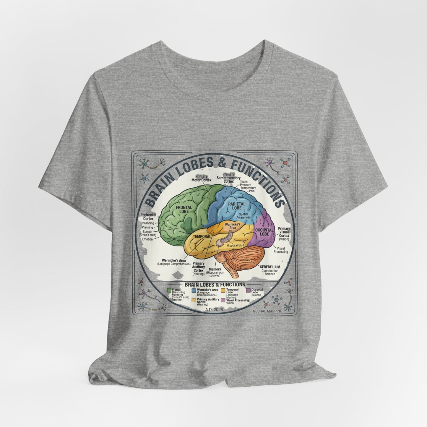 Brain Lobes & Functions T-Shirt | 250th Fourth of July, Patriotic Milestone