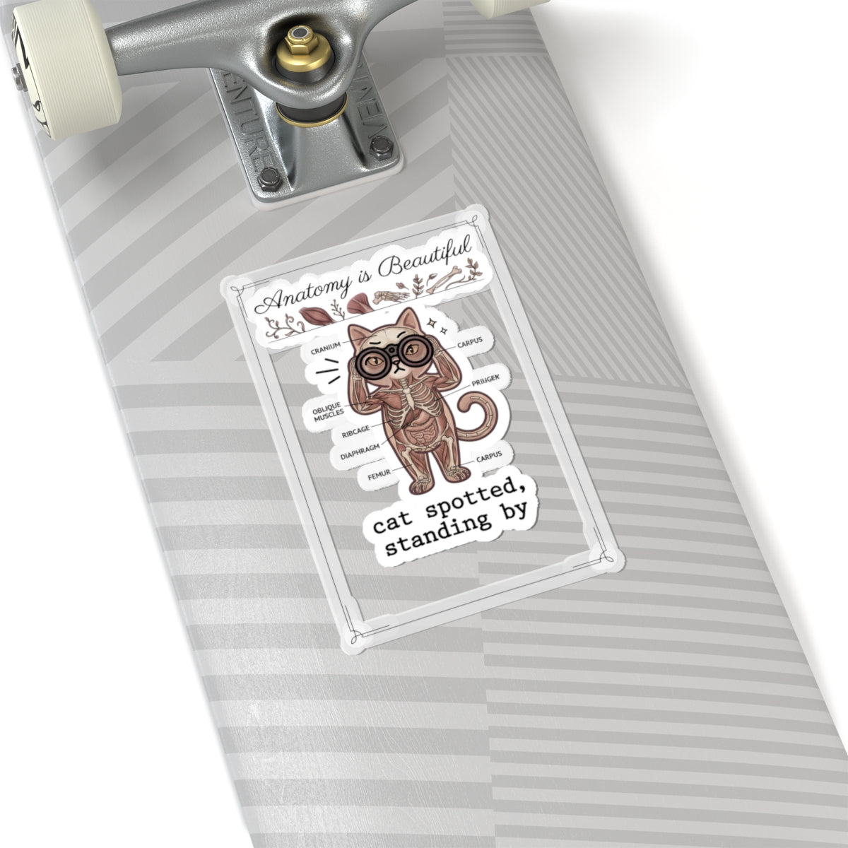 Anatomy Cat Illustration Kiss-Cut Stickers | Cat-Centric Novelty, Whimsical Anatomy