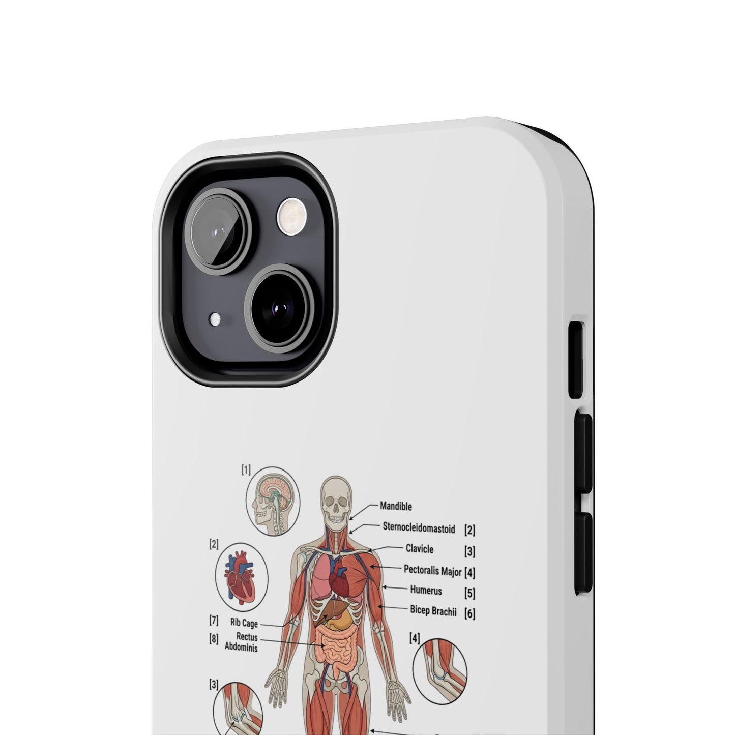 Anatomy Study Phone Case — Human Anatomy Diagram for Medical Students