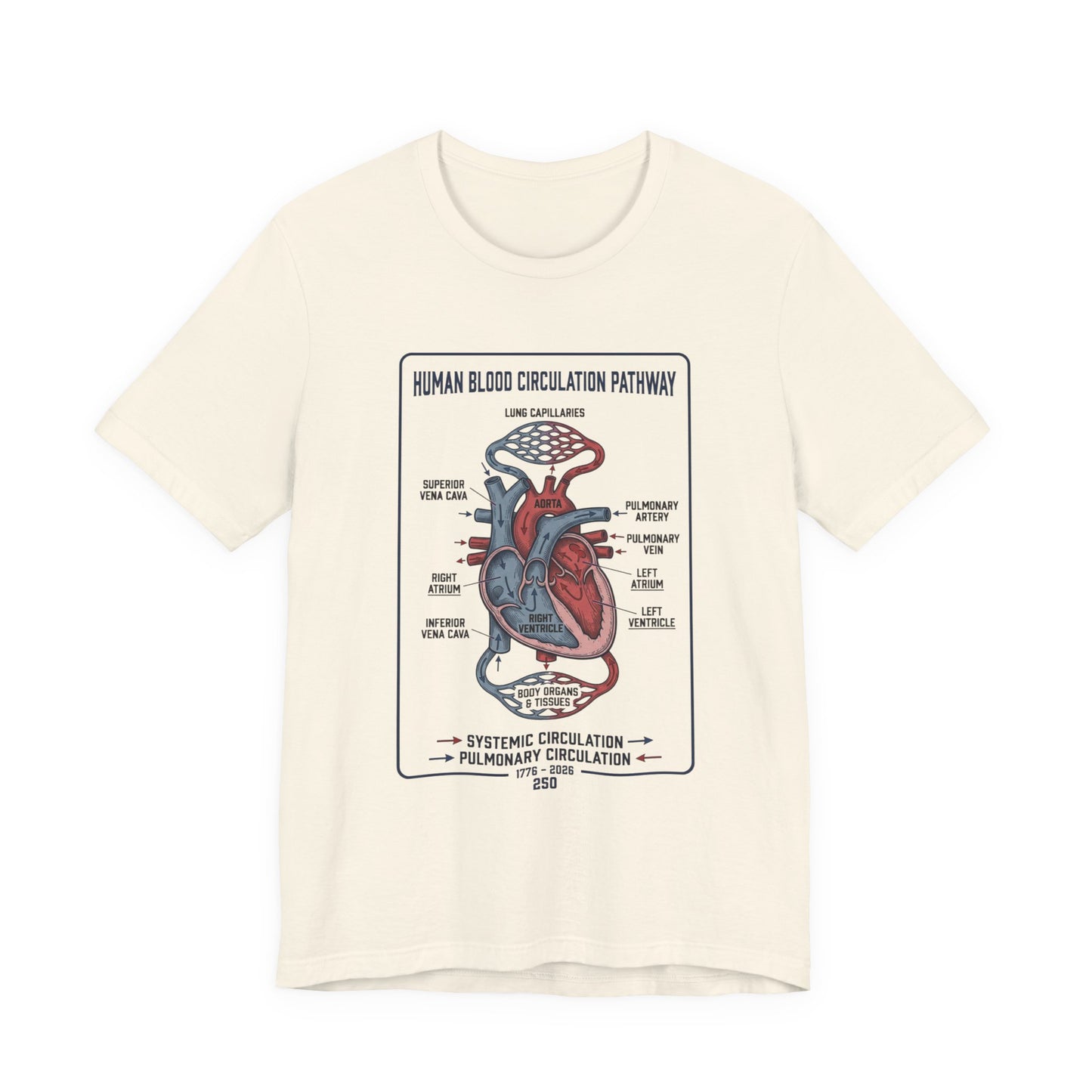 Human Blood Circulation Diagram Tee | 250th 4th of July Patriotic Anatomy