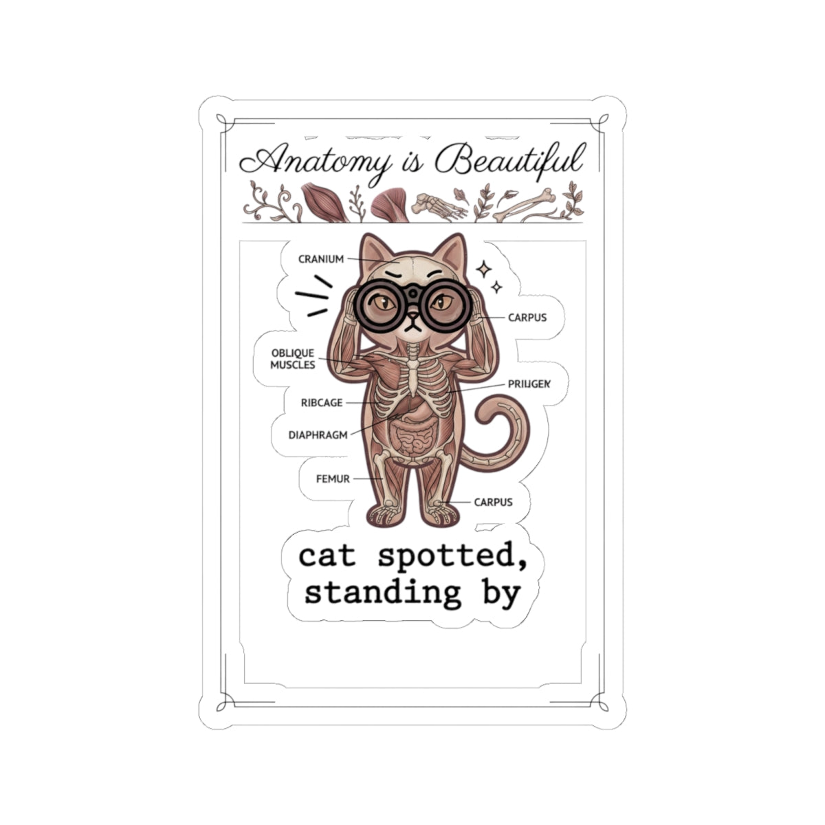Anatomy Cat Illustration Kiss-Cut Stickers | Cat-Centric Novelty, Whimsical Anatomy