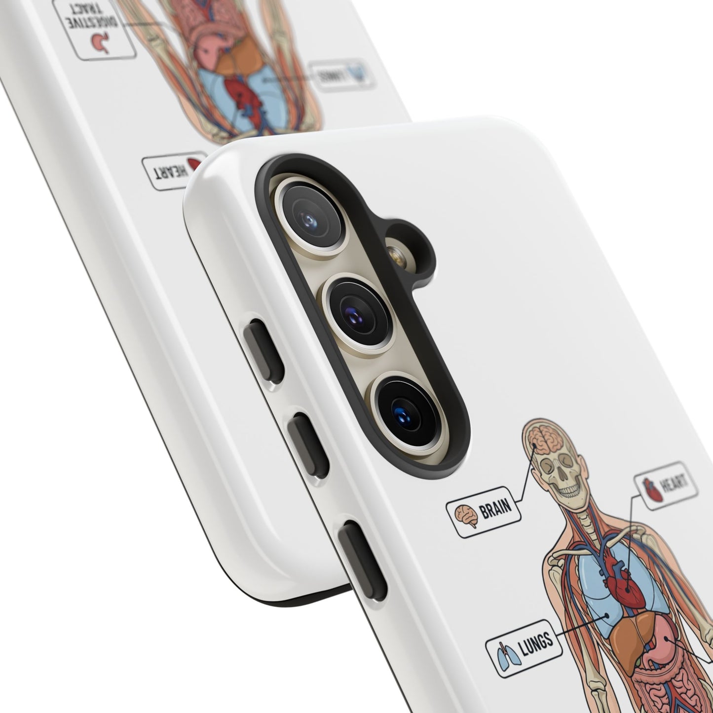 Anatomy Case — Medical Student Human Anatomy Study Aid