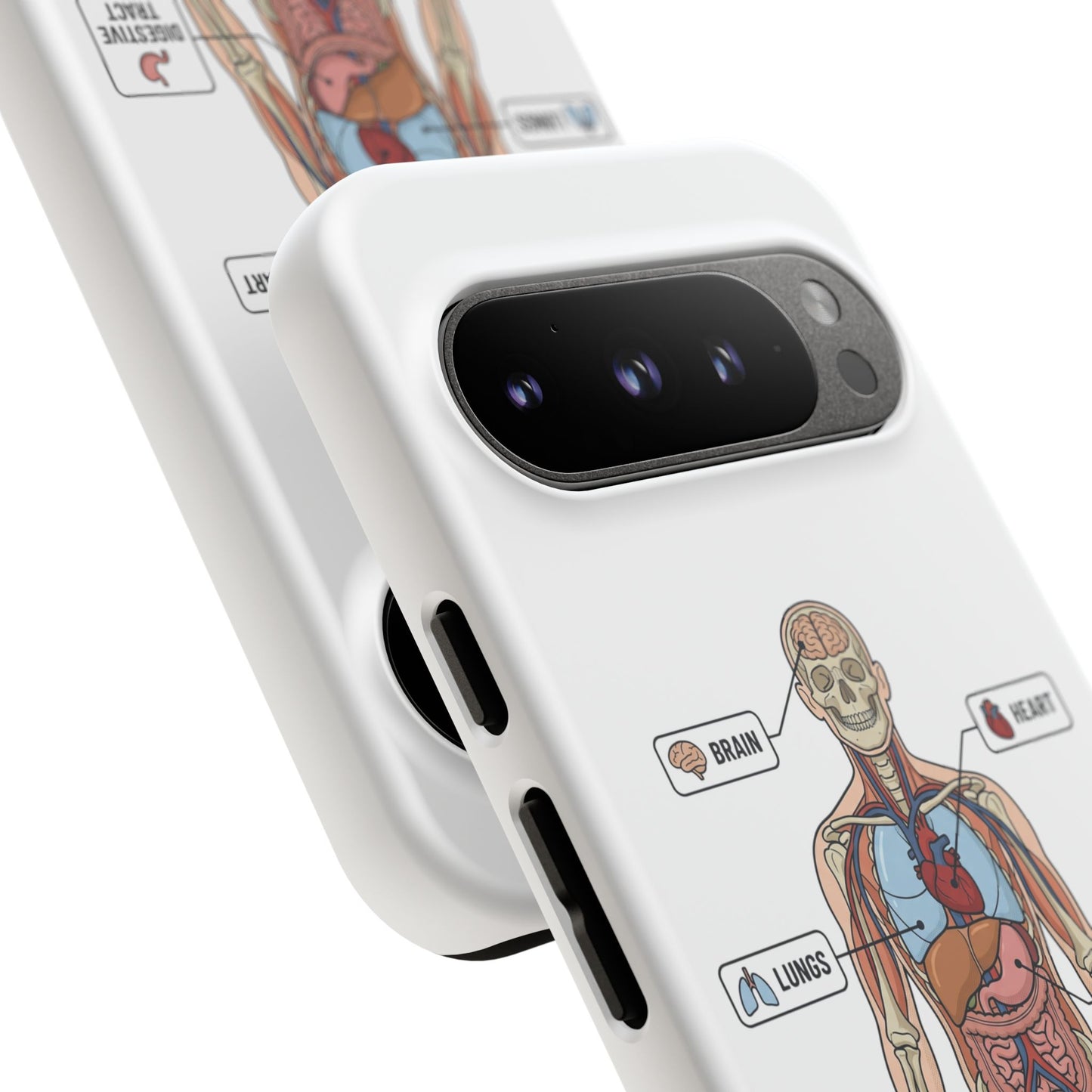 Anatomy Case — Medical Student Human Anatomy Study Aid