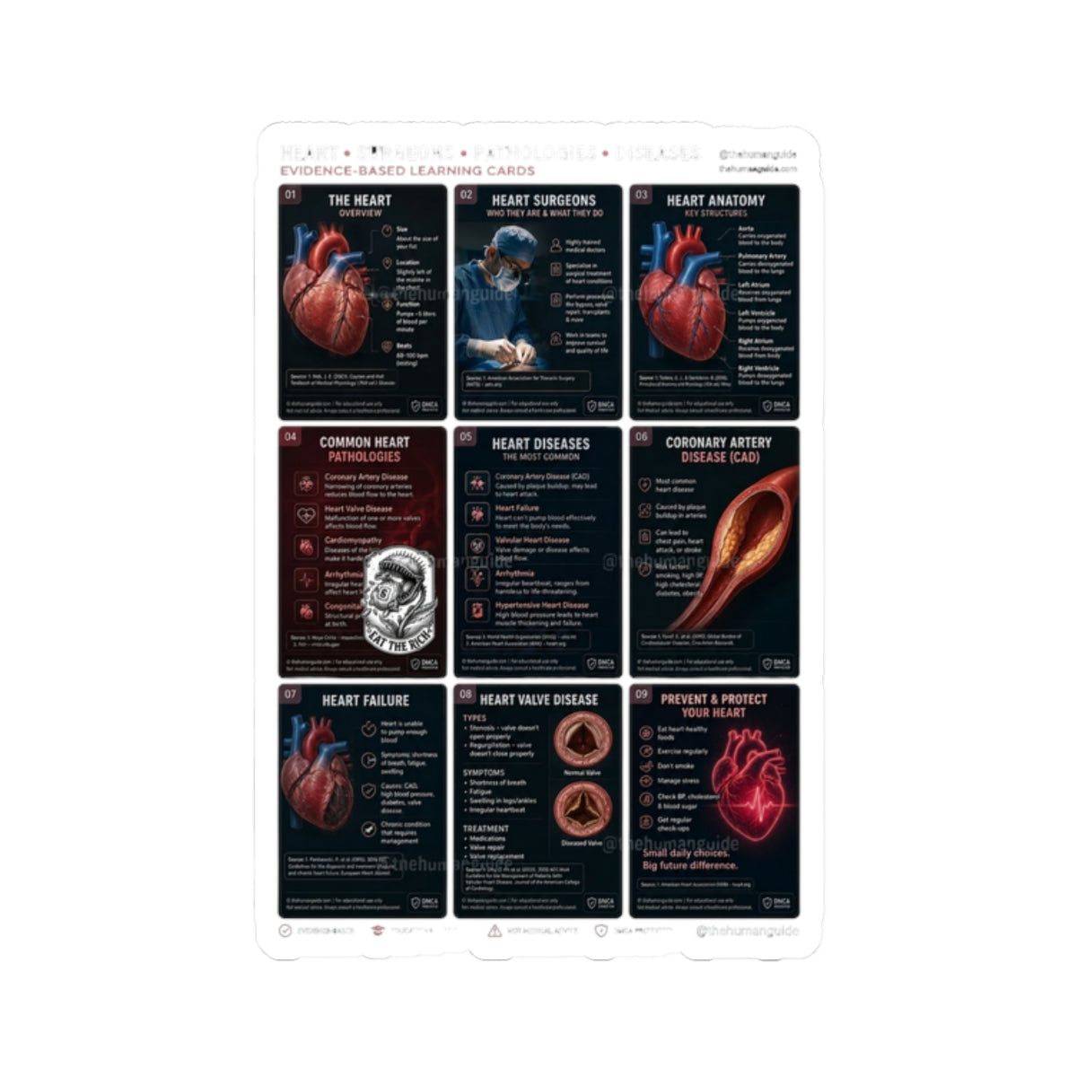 People Over Profit heart anatomy sticker | Values-Led, Activist Kiss-Cut Sticker
