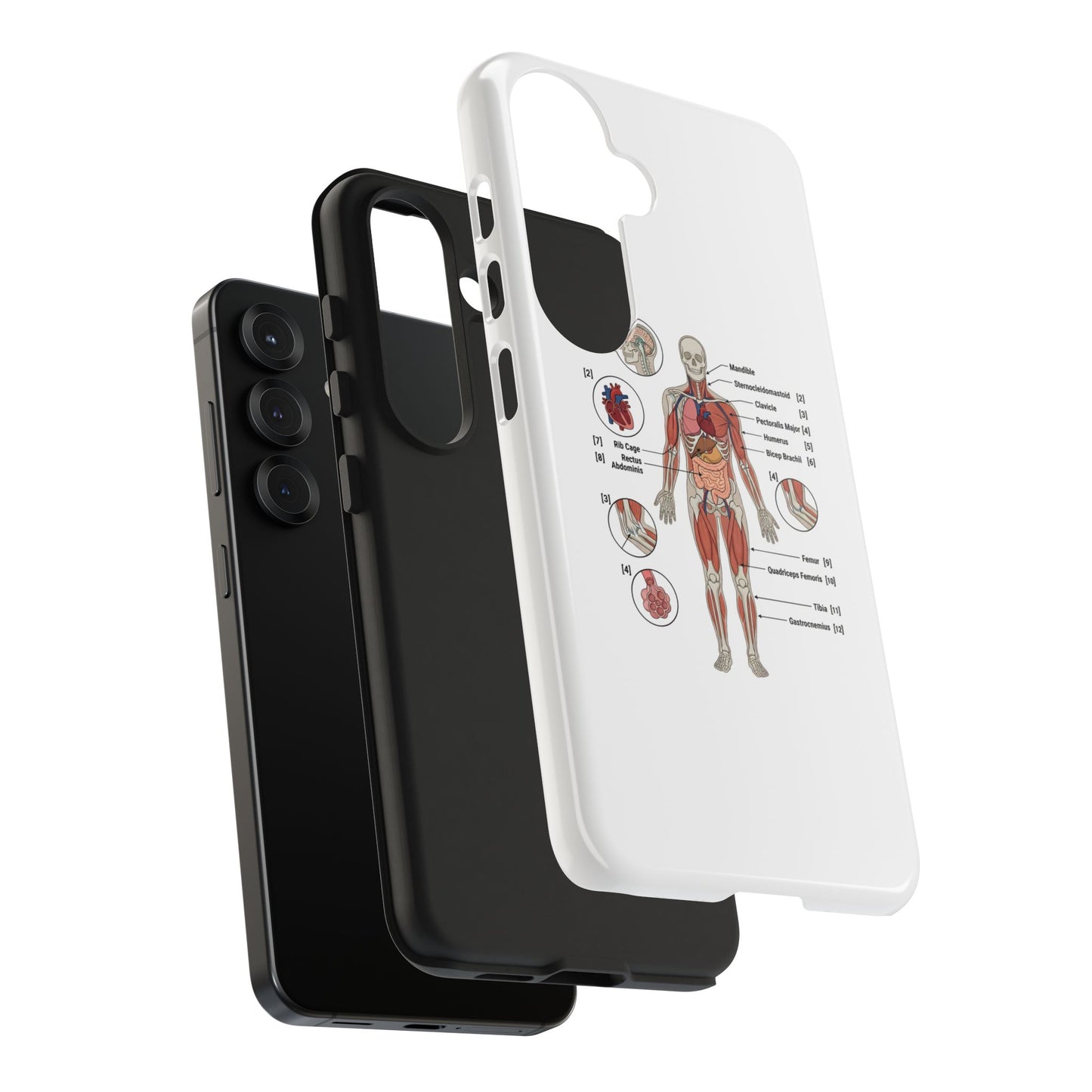 Anatomy Study Phone Case — Human Anatomy Diagram for Medical Students