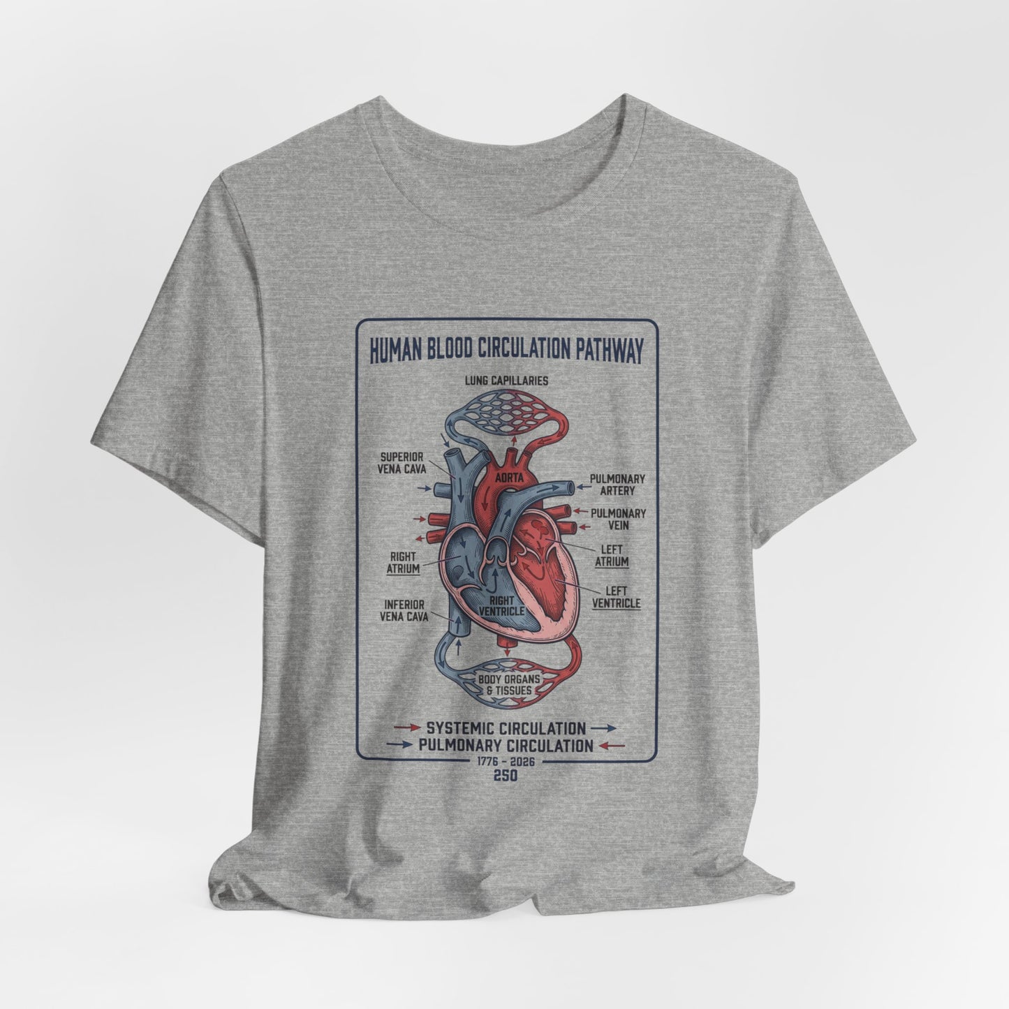 Human Blood Circulation Diagram Tee | 250th 4th of July Patriotic Anatomy