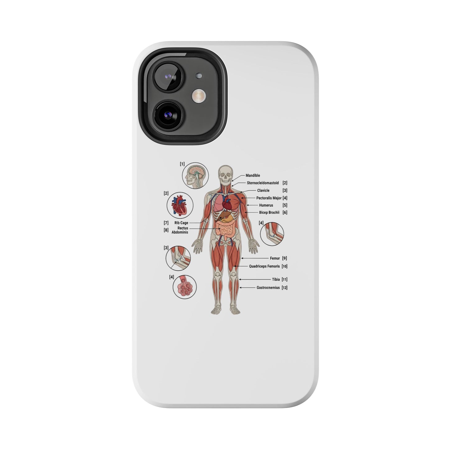Anatomy Study Phone Case — Human Anatomy Diagram for Medical Students