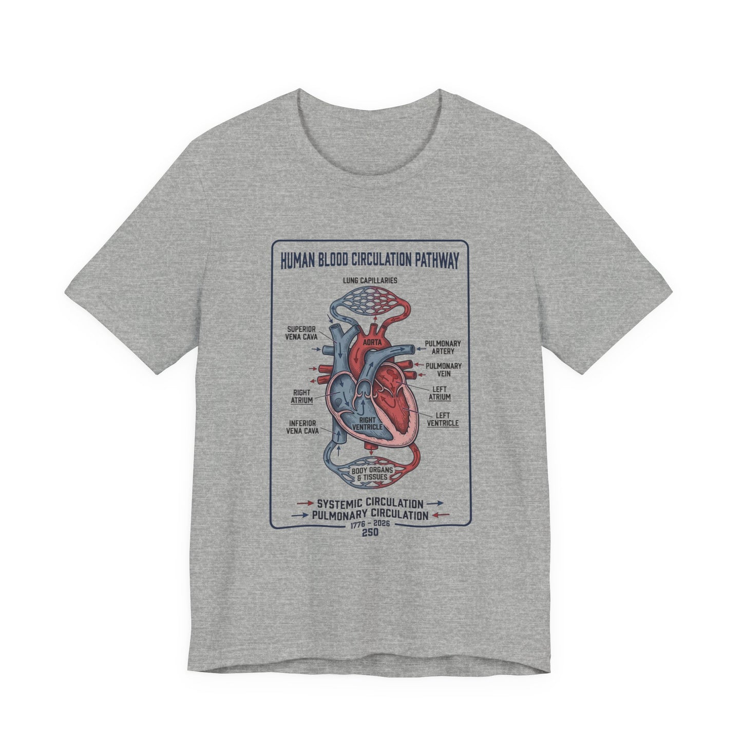 Human Blood Circulation Diagram Tee | 250th 4th of July Patriotic Anatomy