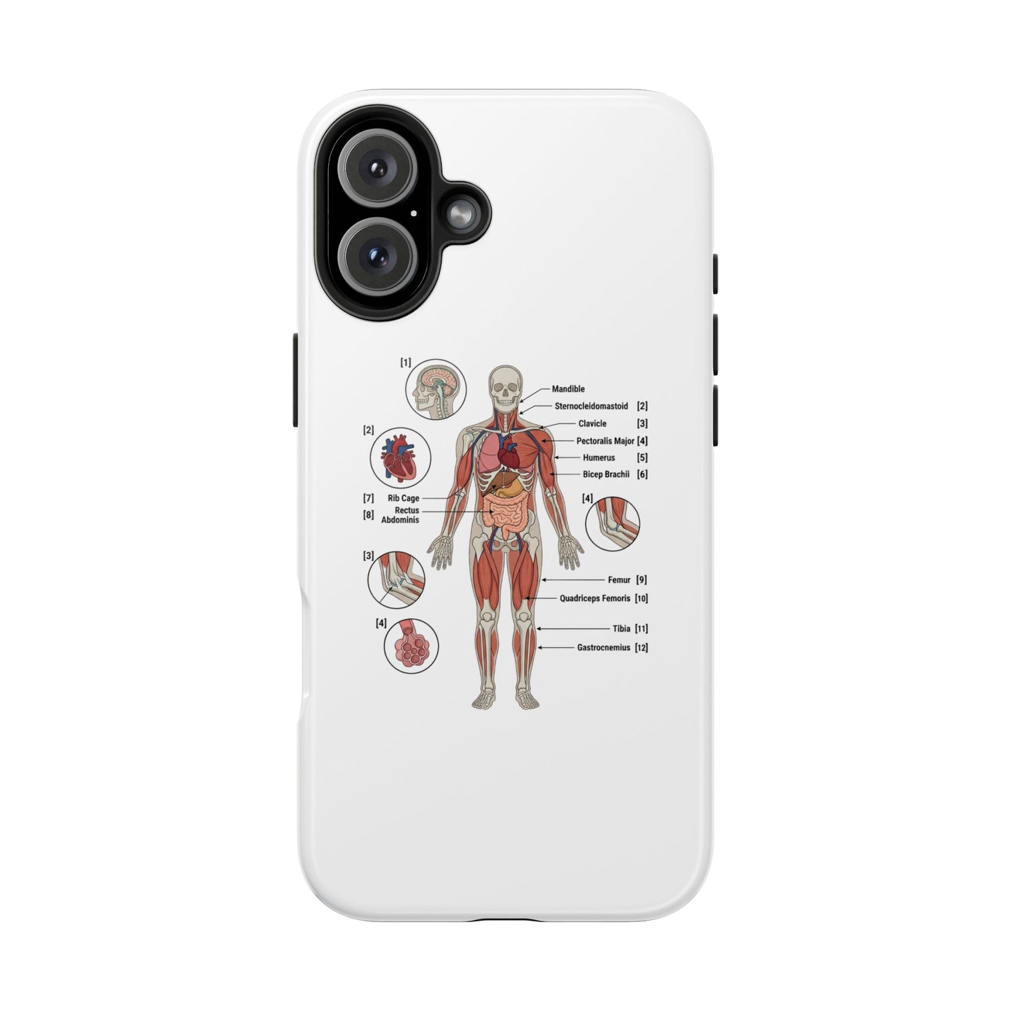 Anatomy Study Phone Case — Human Anatomy Diagram for Medical Students