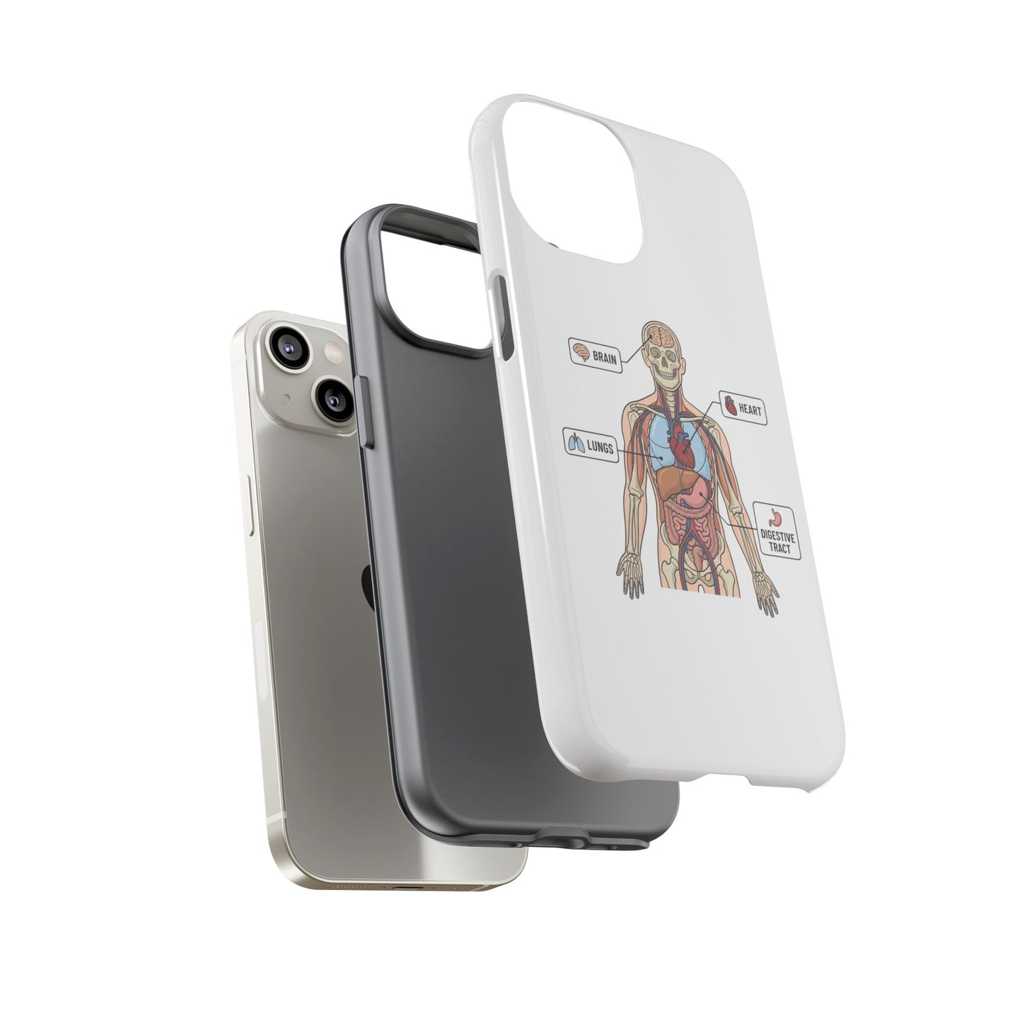 Anatomy Case — Medical Student Human Anatomy Study Aid