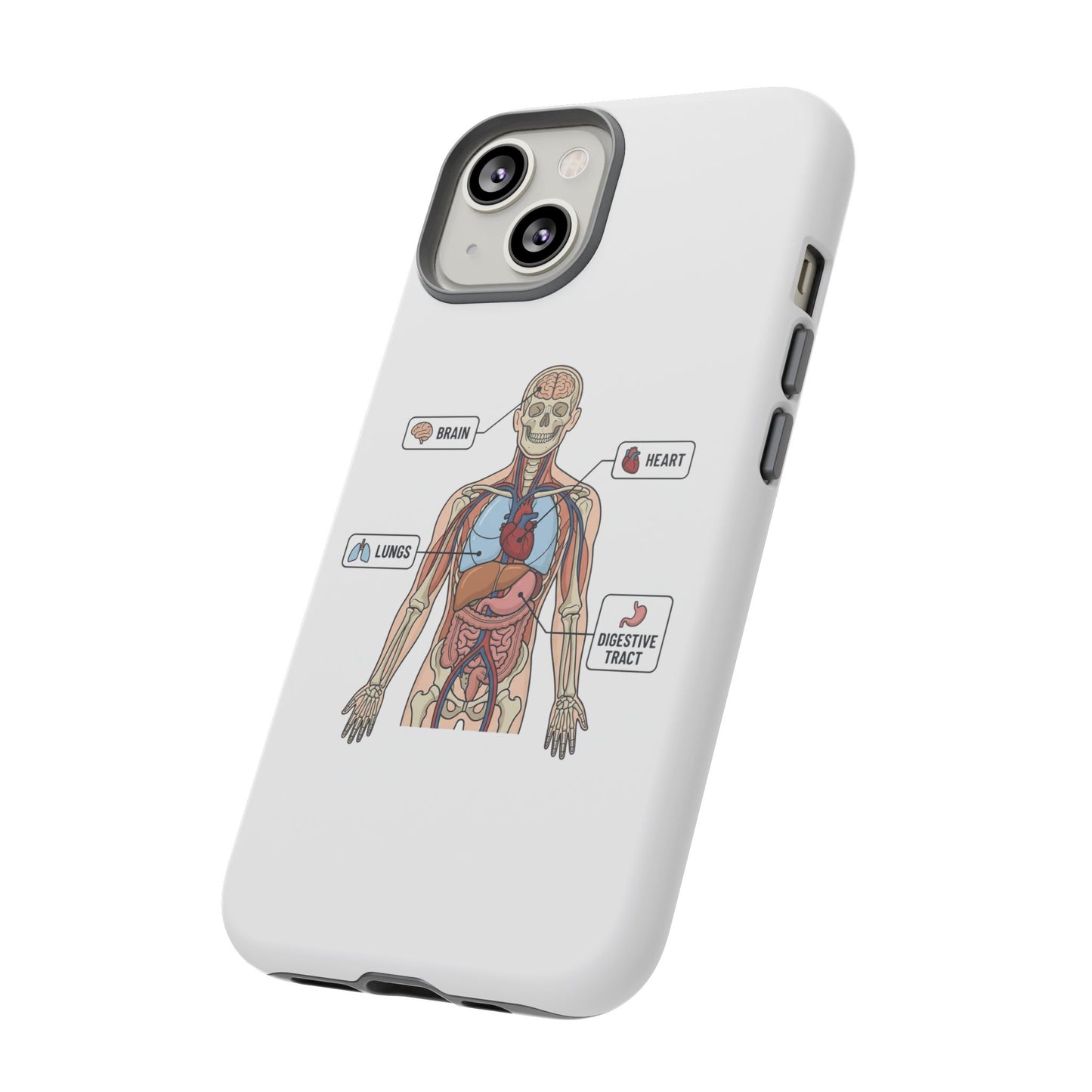 Anatomy Case — Medical Student Human Anatomy Study Aid