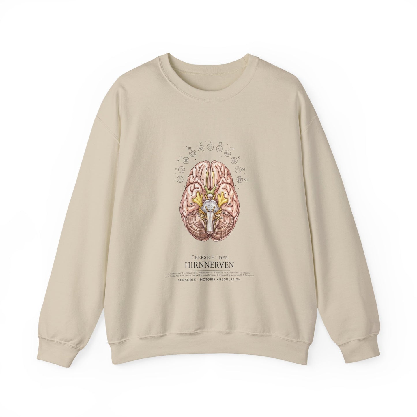 Anatomical Brain Botanical Sweatshirt | Birth Flower, Botanical Anatomy
