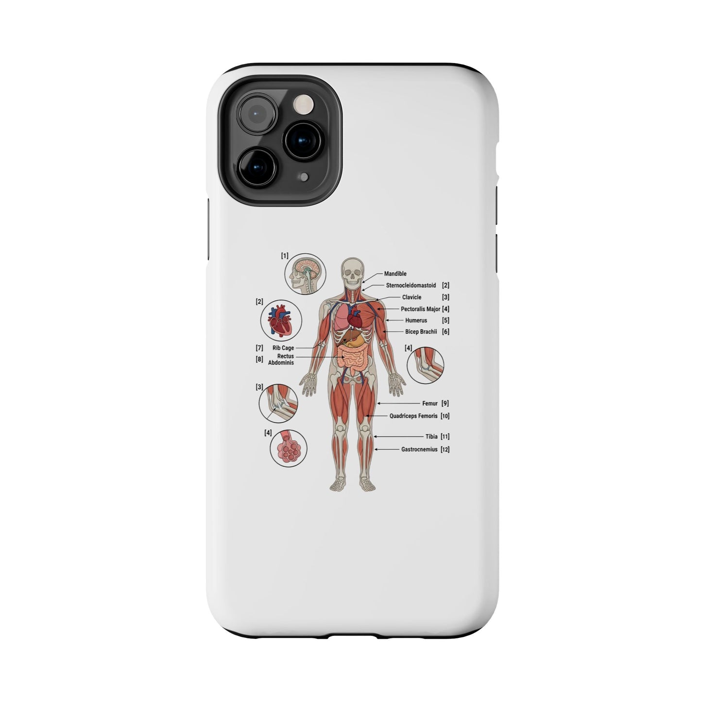 Anatomy Study Phone Case — Human Anatomy Diagram for Medical Students