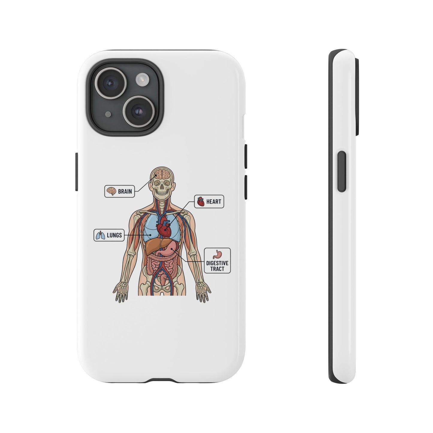 Anatomy Case — Medical Student Human Anatomy Study Aid