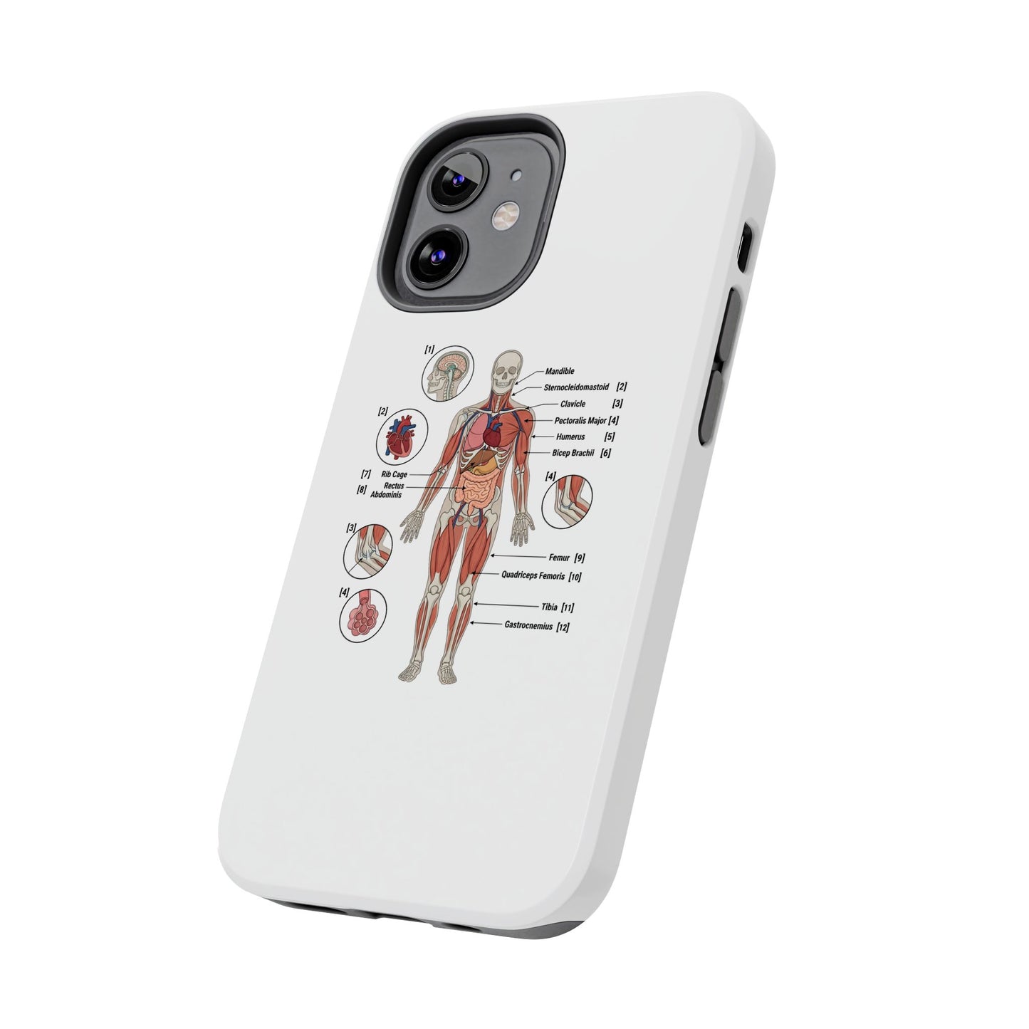 Anatomy Study Phone Case — Human Anatomy Diagram for Medical Students
