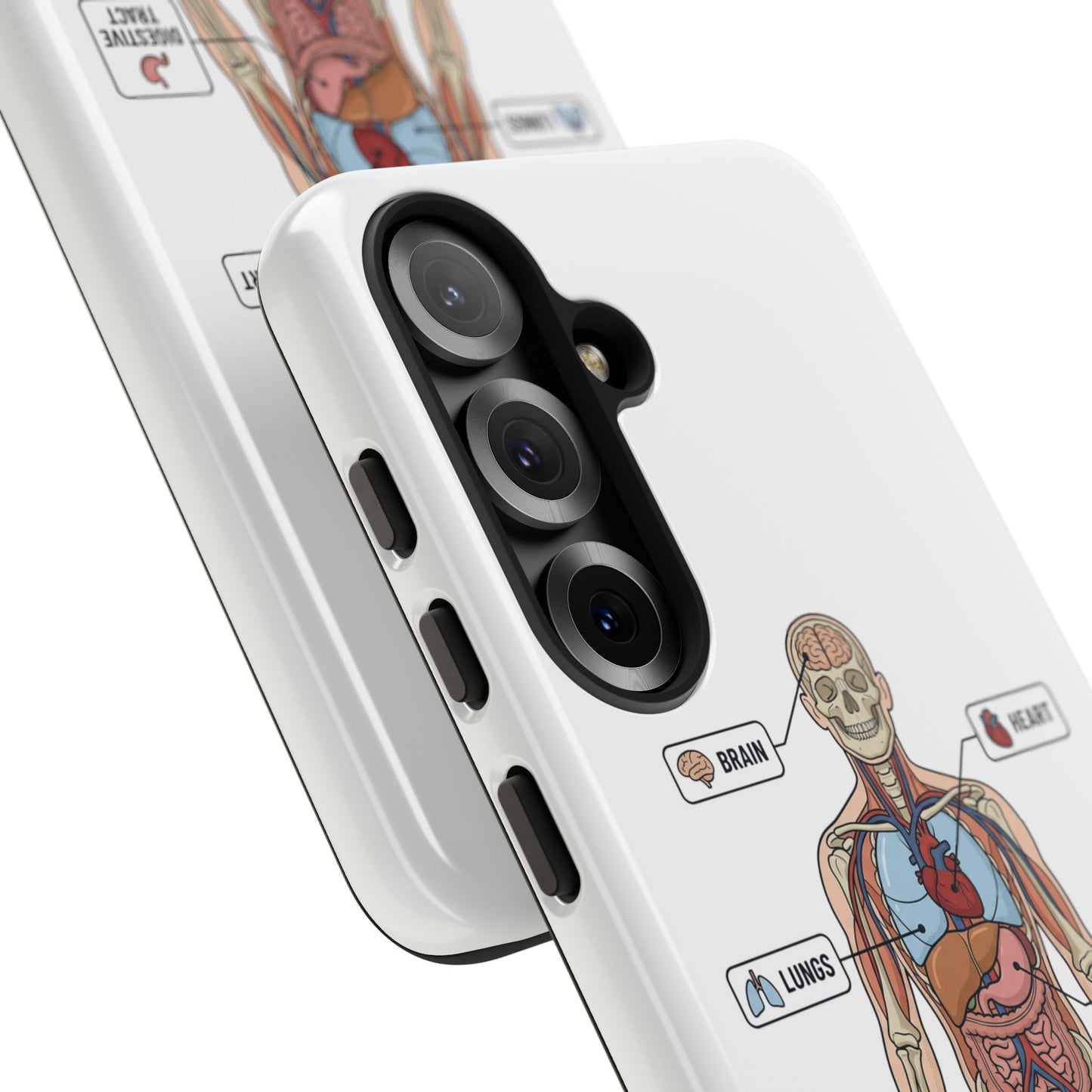Anatomy Case — Medical Student Human Anatomy Study Aid