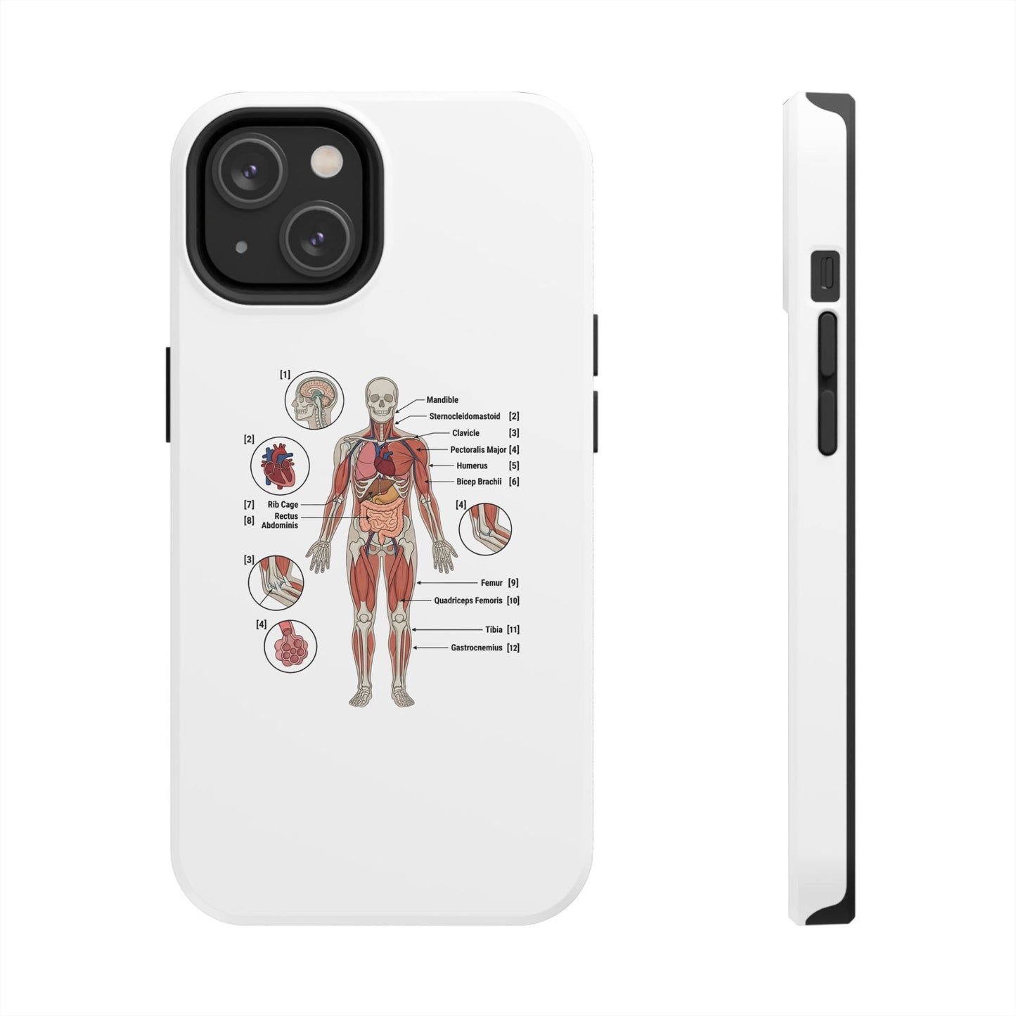Anatomy Study Phone Case — Human Anatomy Diagram for Medical Students