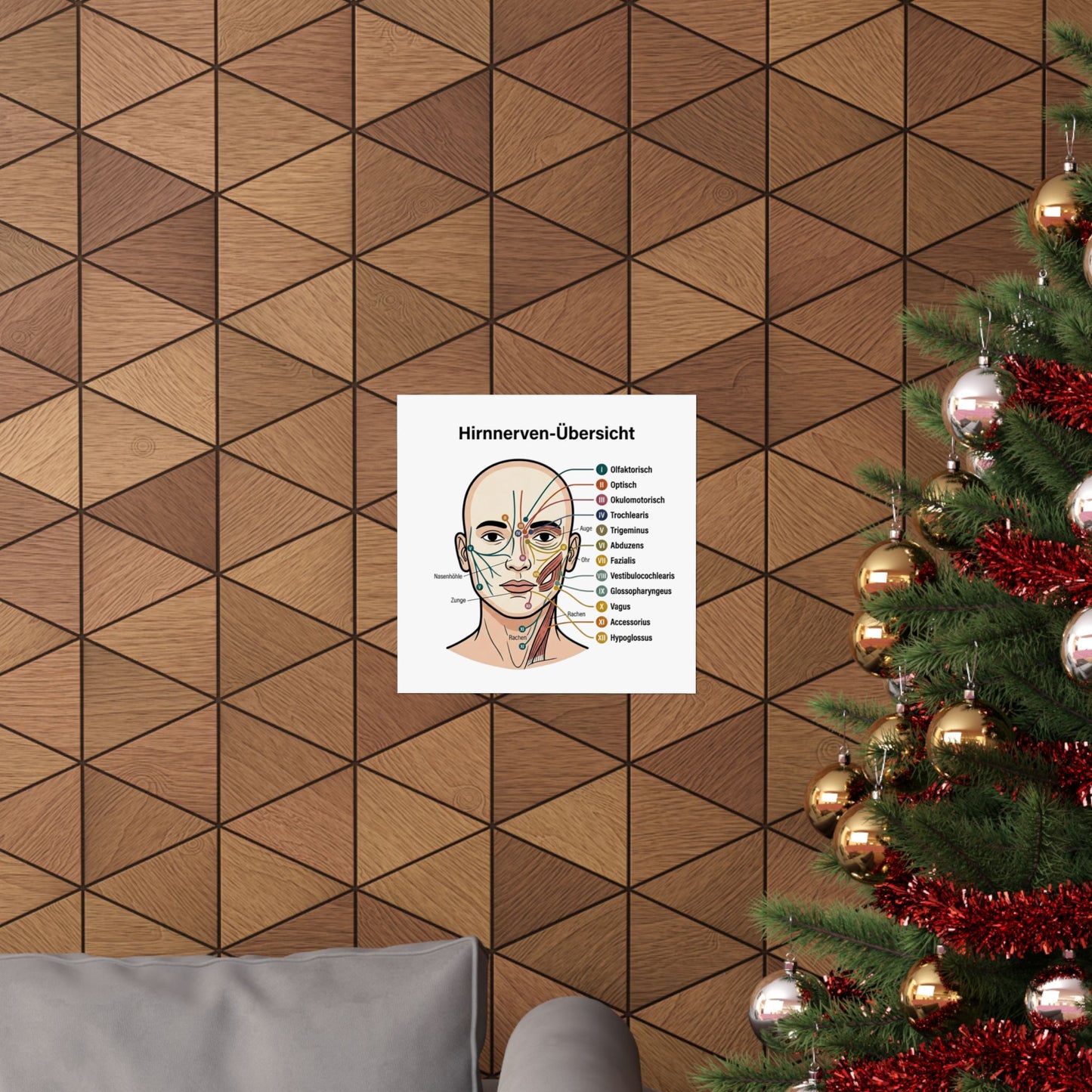 Anatomy Poster — Hirnnerven-Übersicht Matte Vertical Poster
