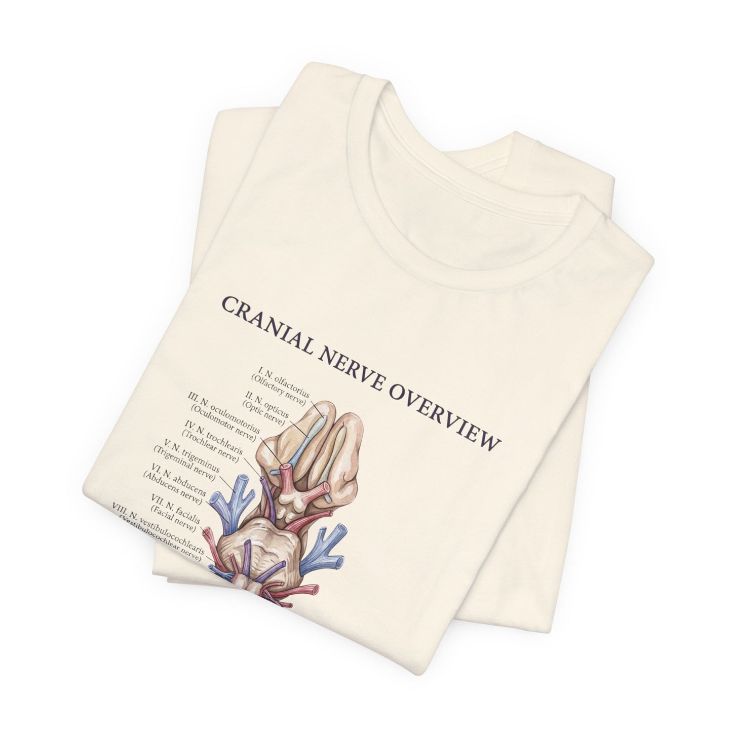 Cranial Nerve Anatomy Tee | Botanical Medical Illustration, Birth Flower Style
