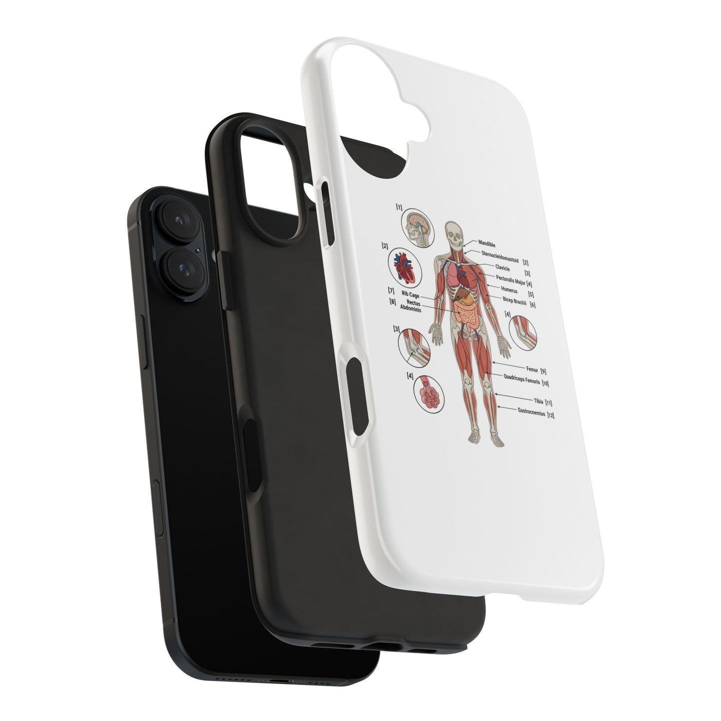Anatomy Study Phone Case — Human Anatomy Diagram for Medical Students