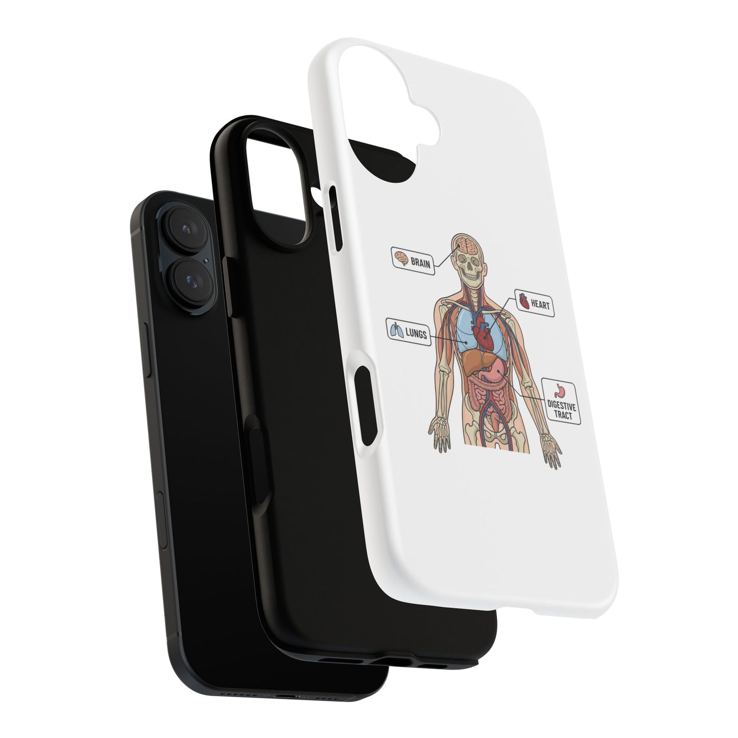 Anatomy Case — Medical Student Human Anatomy Study Aid
