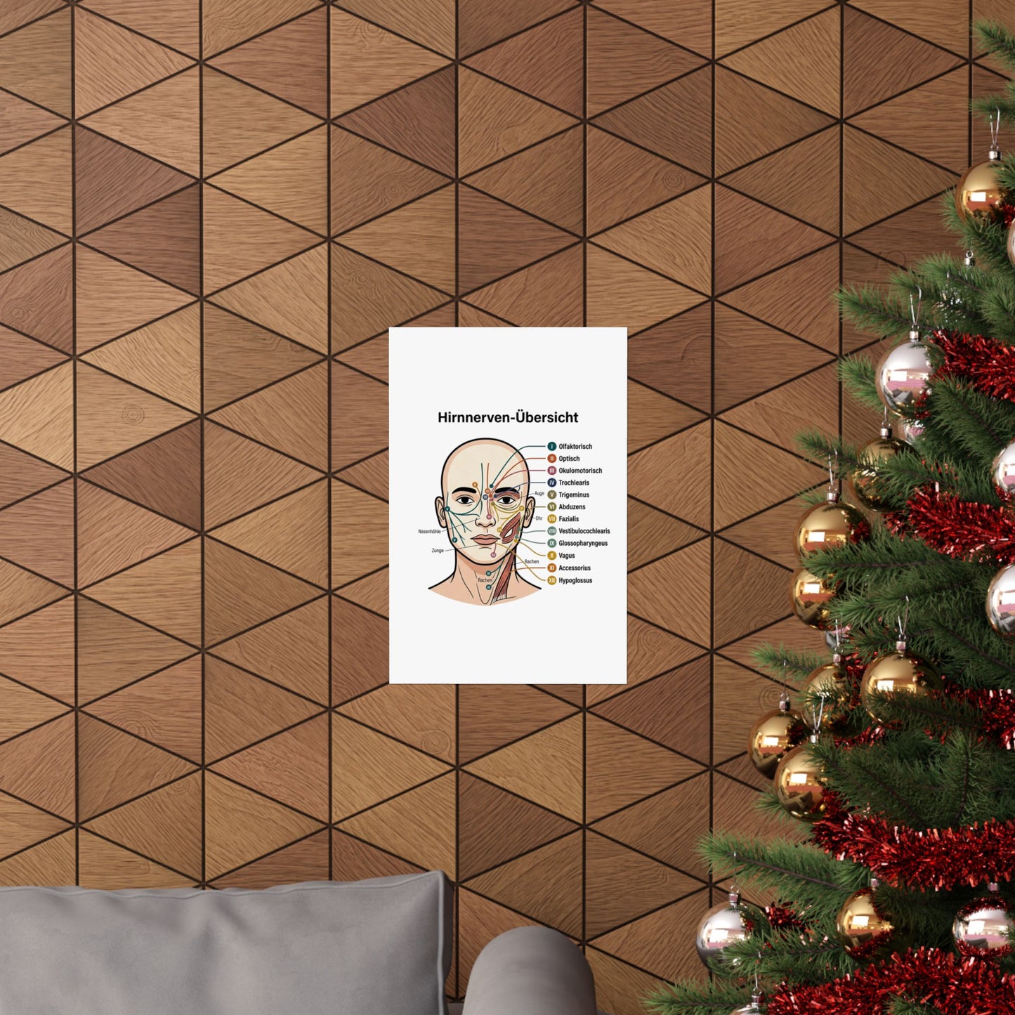 Anatomy Poster — Hirnnerven-Übersicht Matte Vertical Poster