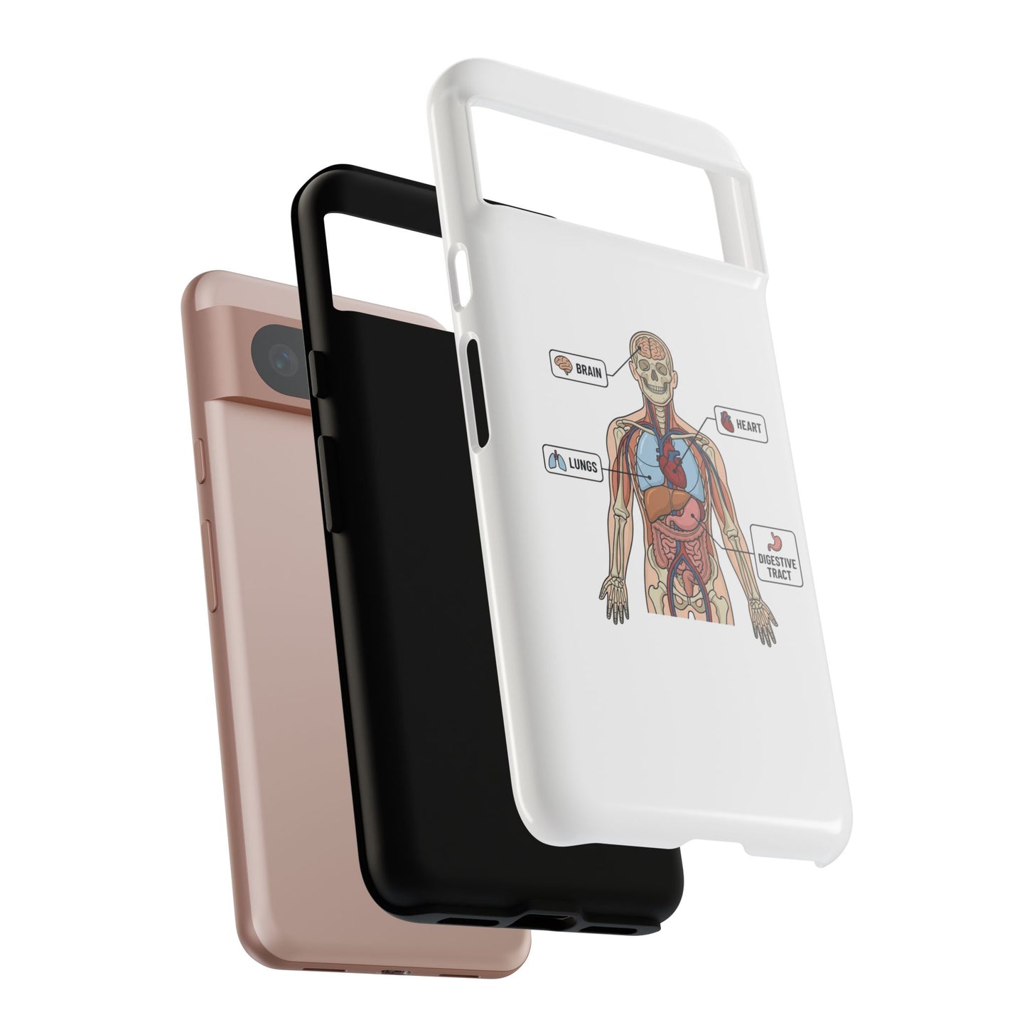 Anatomy Case — Medical Student Human Anatomy Study Aid