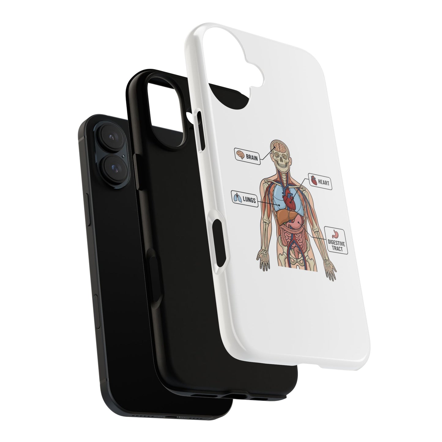 Anatomy Case — Medical Student Human Anatomy Study Aid