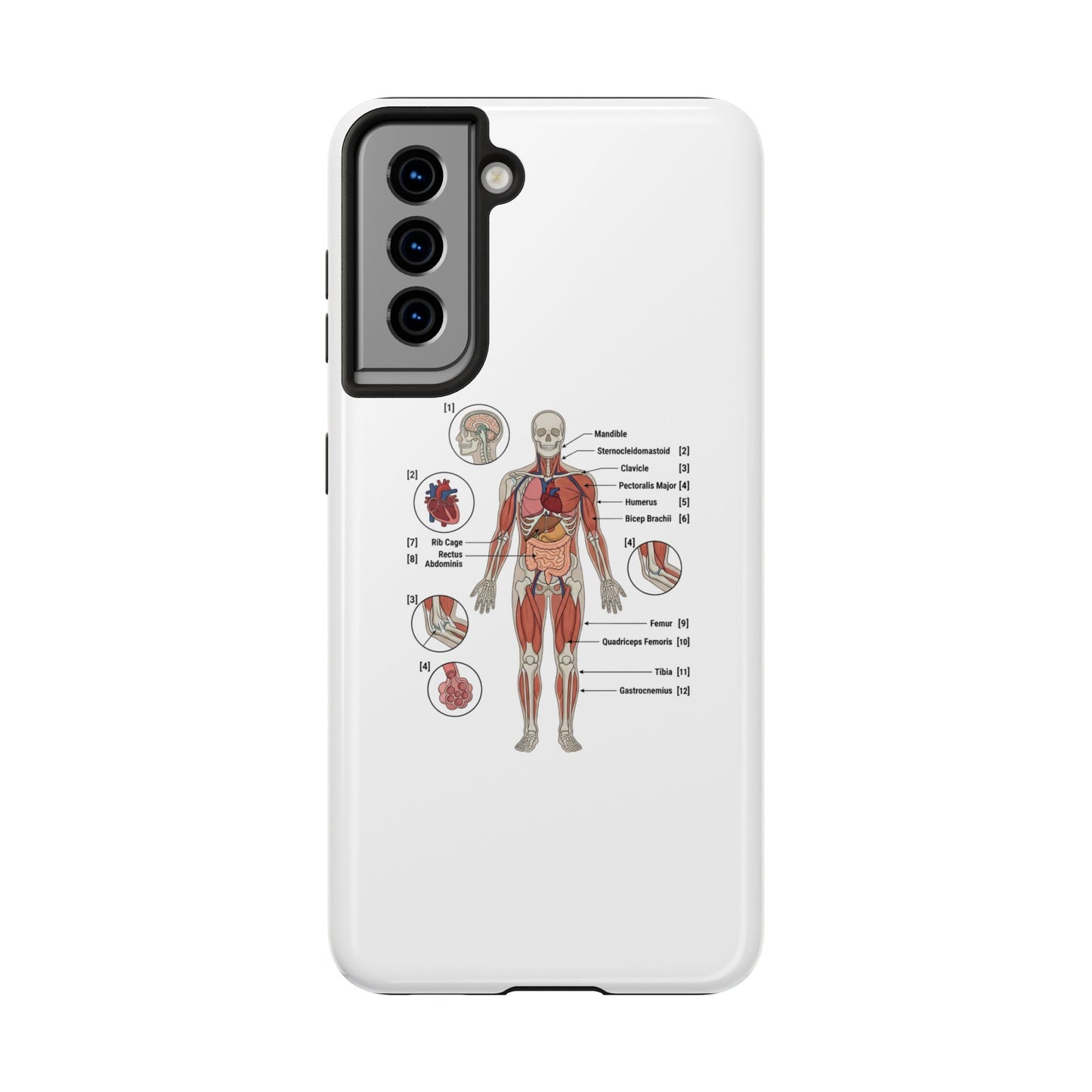 Anatomy Study Phone Case — Human Anatomy Diagram for Medical Students