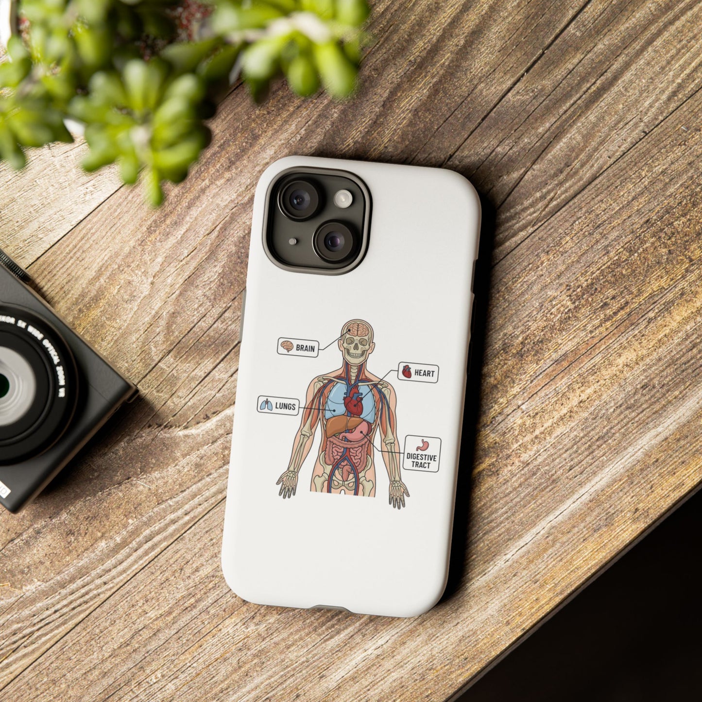 Anatomy Case — Medical Student Human Anatomy Study Aid