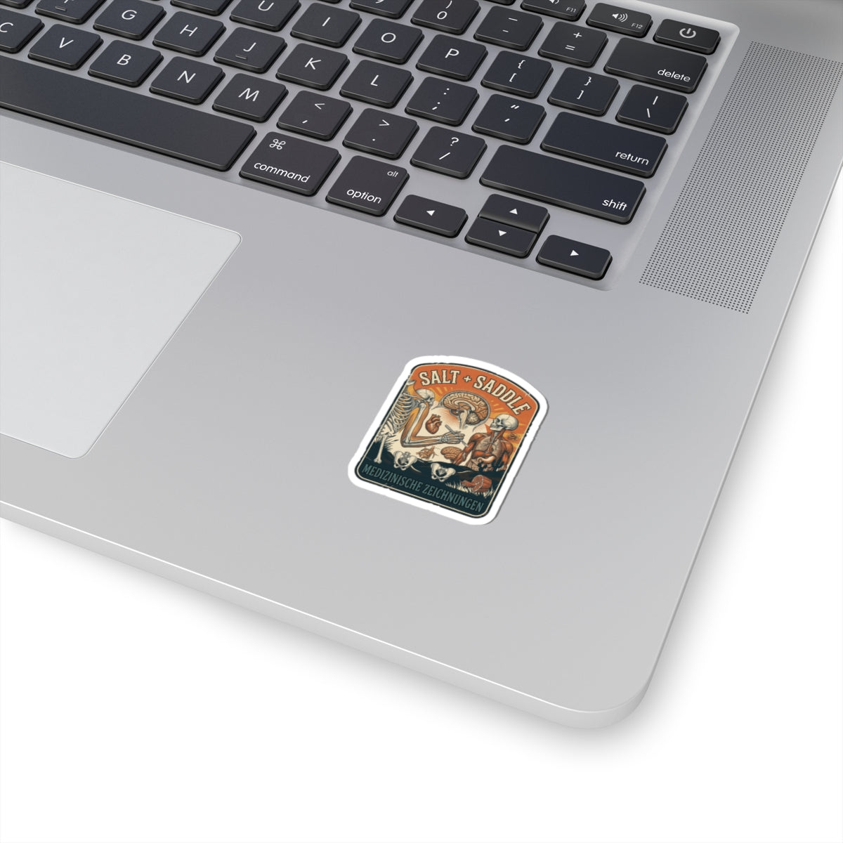 Salt & Saddle Anatomy Sticker | Country Aesthetic Western Cowgirl
