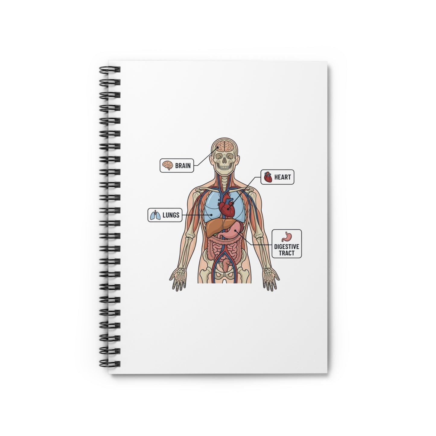 Human Anatomy Spiral Notebook — Ruled Medical Study Notebook for Medicine Students