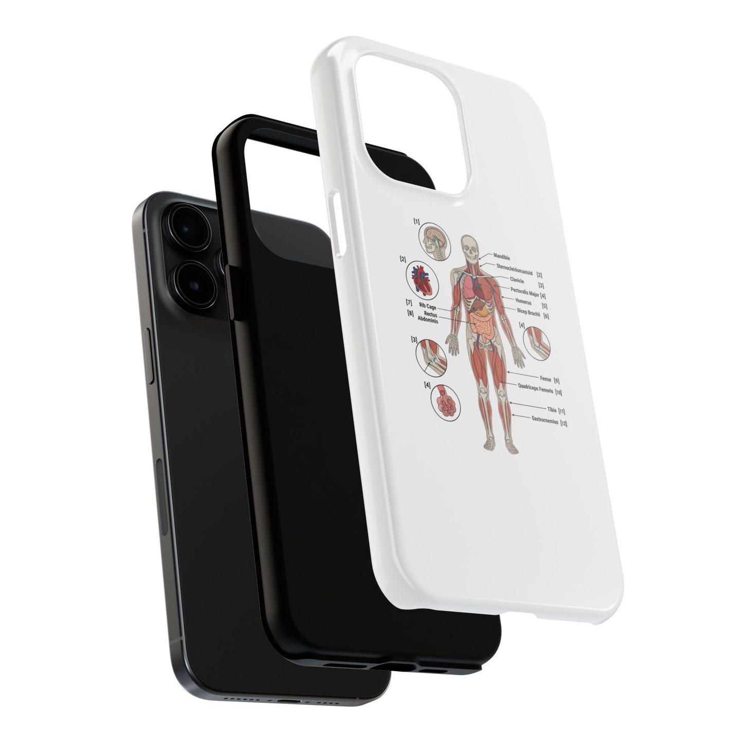 Anatomy Study Phone Case — Human Anatomy Diagram for Medical Students