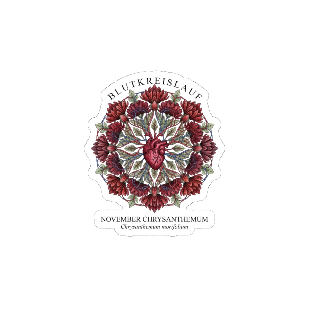 November Chrysanthemum Sticker | Birth Flower, Botanical Illustration