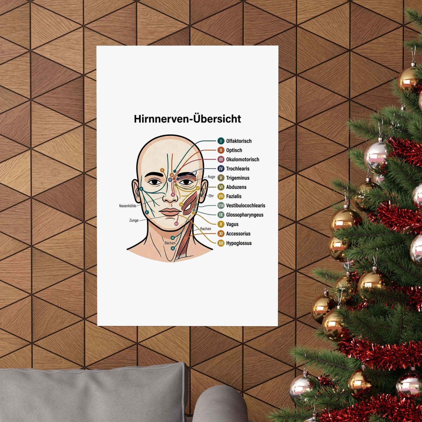 Anatomy Poster — Hirnnerven-Übersicht Matte Vertical Poster